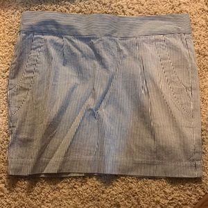 Blue pin line skirt